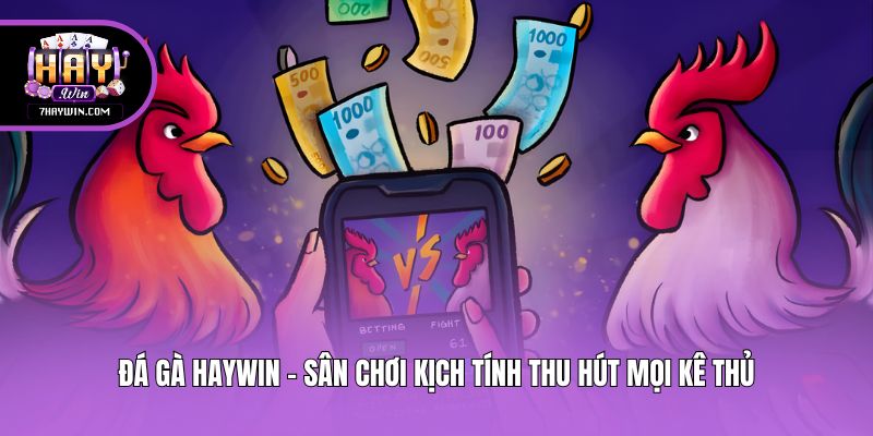 Đá gà Haywin - Sân chơi kịch tính thu hút mọi kê thủ