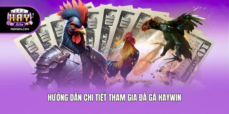 Hướng dẫn chi tiết tham gia đá gà Haywin