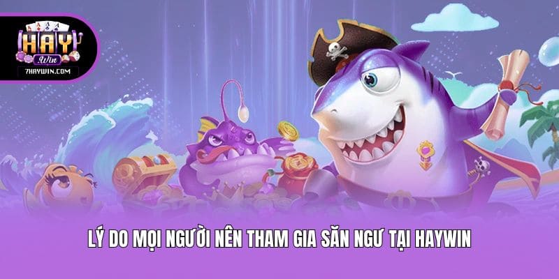 Lý do mọi người nên tham gia săn ngư tại Haywin