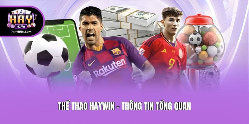 Thể thao Haywin - thông tin tổng quan